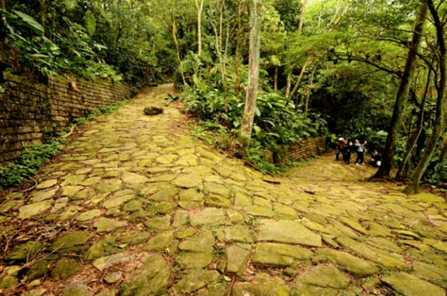 From São Paulo: Private Tour of Atlantic Forest & Valleys - Weather, shoes, and trail comfort