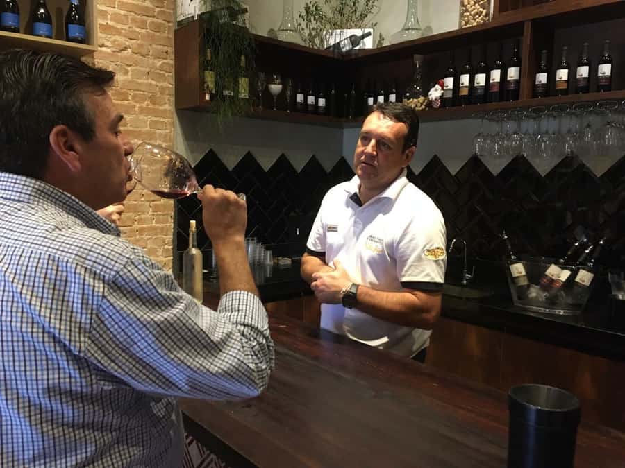 From São Paulo: São Roque Wineries Route and Tasting of Wine - Key points at a glance
