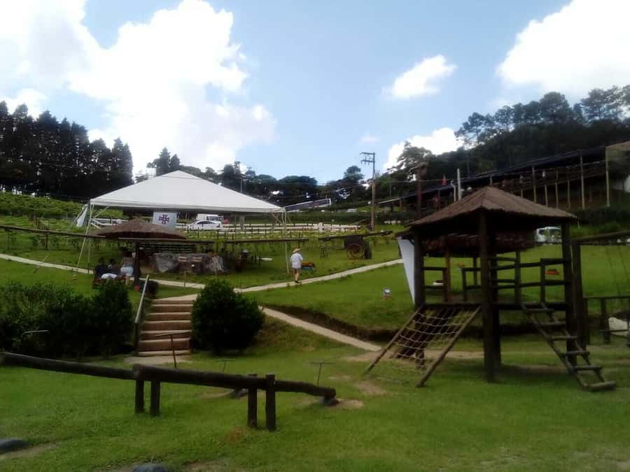 From São Paulo: São Roque Wineries Route and Tasting of Wine - Practical details before you book