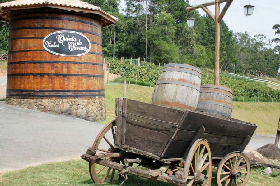From São Paulo: São Roque Wineries Route and Tasting of Wine - Why São Roque makes a good day trip from São Paulo