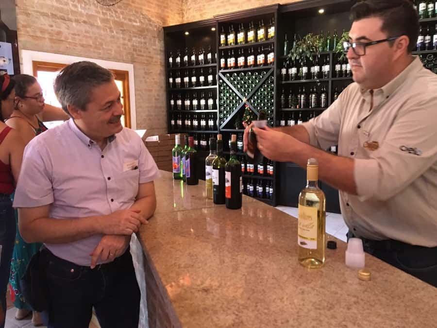 From São Paulo: São Roque Wineries Route and Tasting of Wine - Three wineries and a taste of local production