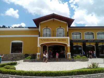 São Roque Wineries Route and Tasting of Wine