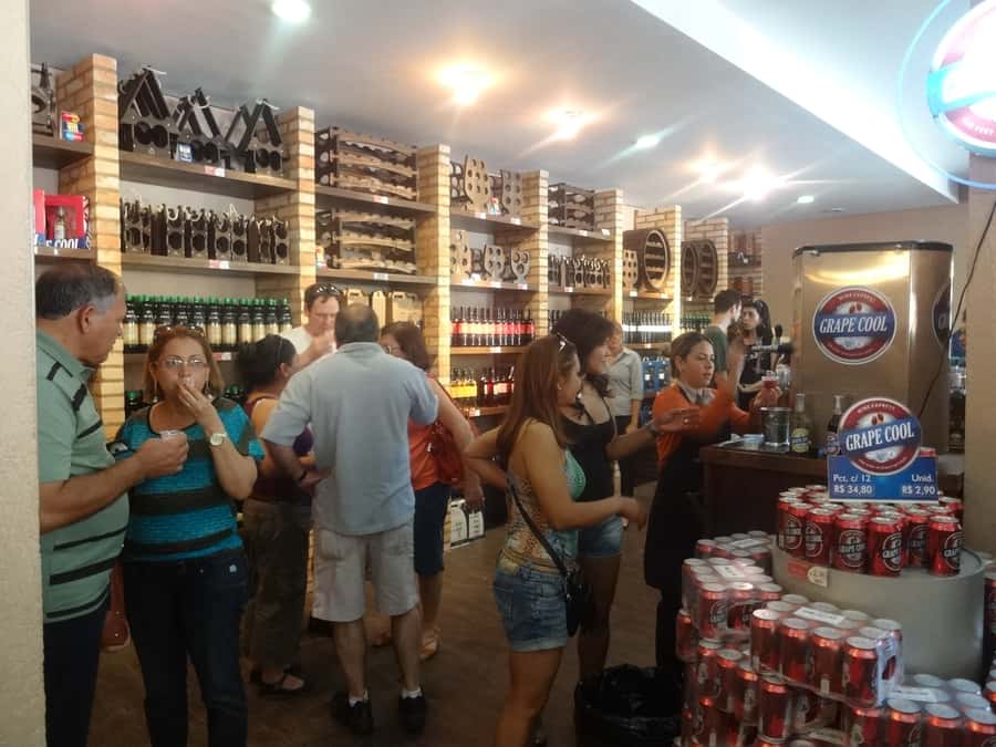 From São Paulo: São Roque Wineries Route and Tasting of Wine - Who will enjoy this São Roque day trip
