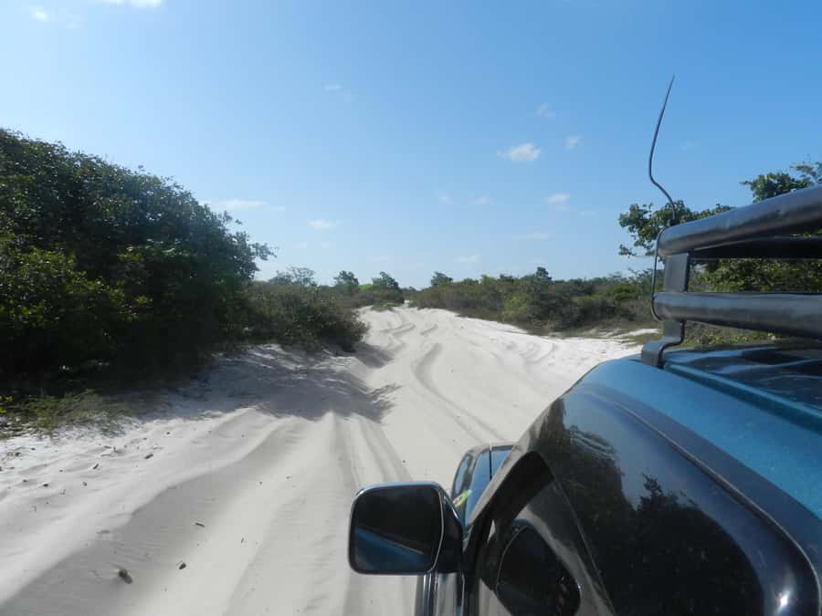 Full-day excursion Lencois Marnahenses, Lagoa Azul & Lagoa Bonita combined - Why this full-day Lençóis Maranhenses tour works