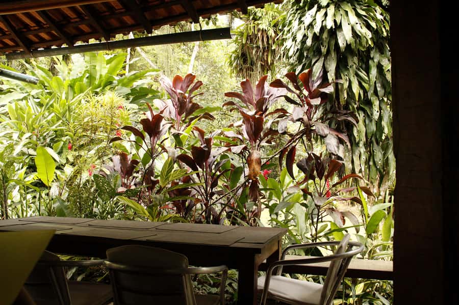 Full-Day Jungle Jeep Waterfall and Cachaça Distillery Tour - Who should book this Paraty outing?