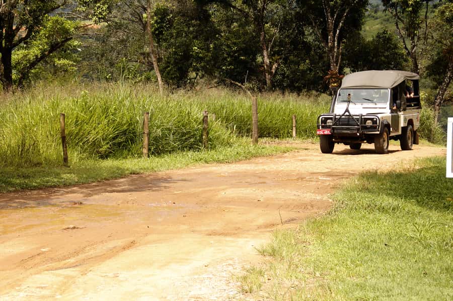 Full-Day Jungle Jeep Waterfall and Cachaça Distillery Tour - Engenho D’ouro and the making of cachaça