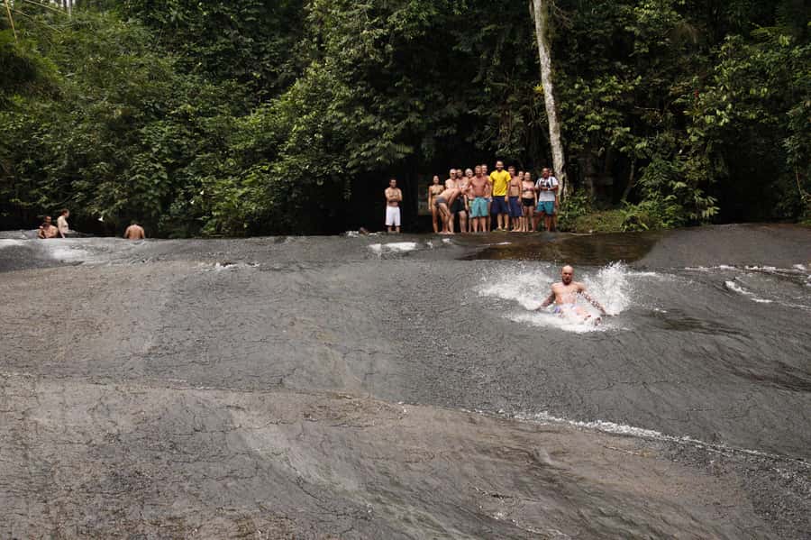 Full-Day Jungle Jeep Waterfall and Cachaça Distillery Tour - Forest plants, farm life, and the jequitibá