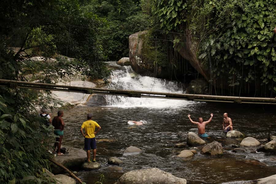 Full-Day Jungle Jeep Waterfall and Cachaça Distillery Tour - The Bromeliad Exhibition and the route’s weak point
