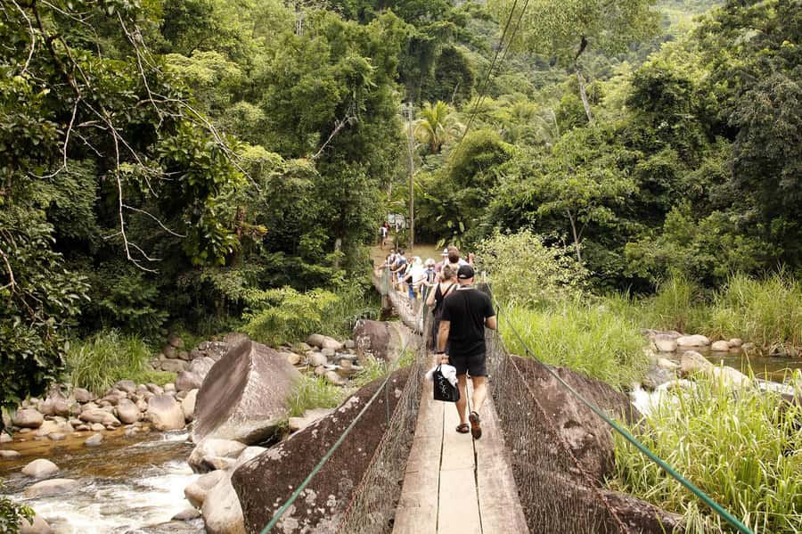 Full-Day Jungle Jeep Waterfall and Cachaça Distillery Tour - Is $60 a fair price?
