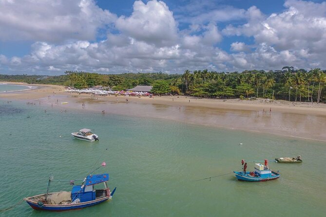 Full Day Tour in Trancoso with Chocolate Factory - Finos Di Porto: a 20-minute chocolate finish