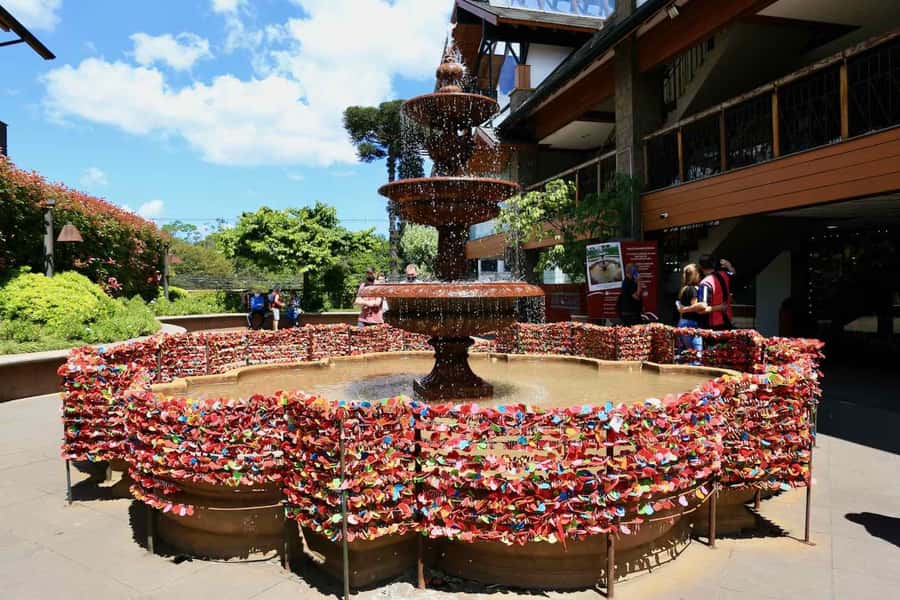 Gramado and Canela: Private Daytour from Porto Alegre - Language, comfort, and accessibility