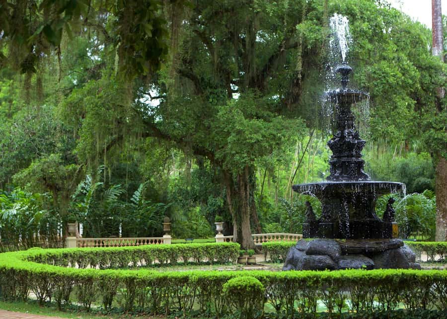 Green Rio: Guided Tour of Botanical Garden and Lage Park - Why this half-day pairing works in Rio