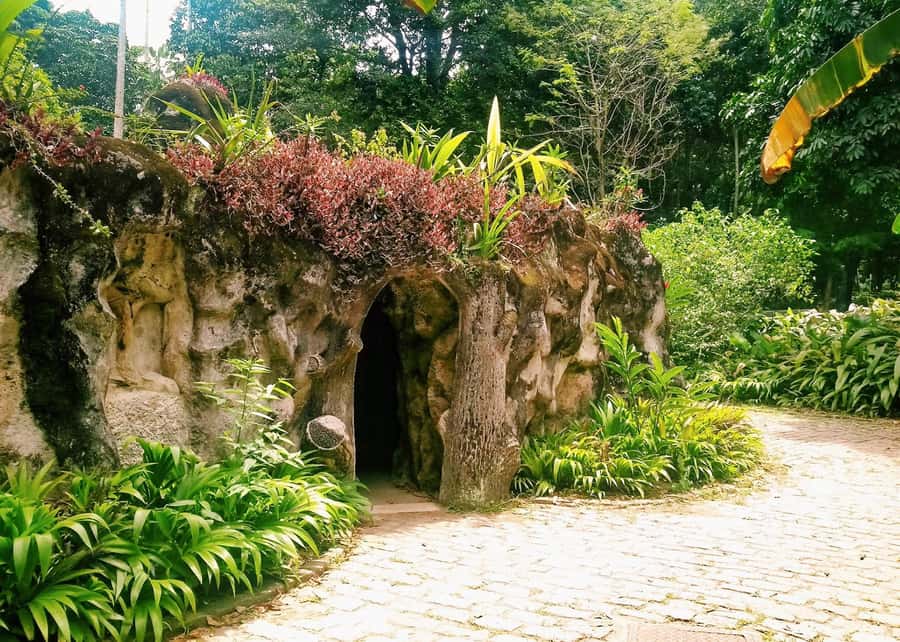 Green Rio: Guided Tour of Botanical Garden and Lage Park - From cultivated paths to Parque Lage’s forest