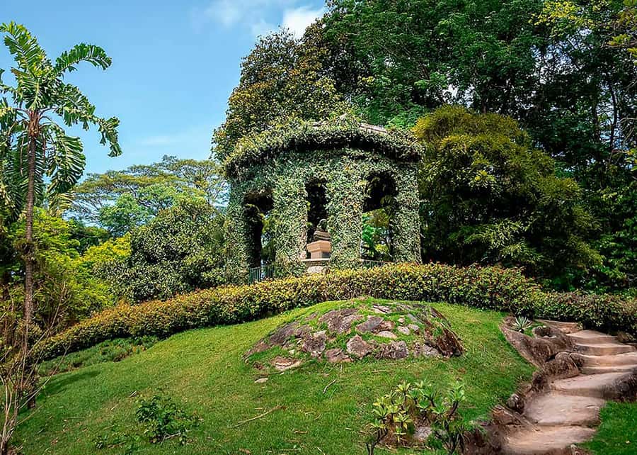 Green Rio: Guided Tour of Botanical Garden and Lage Park - What the guide adds to the experience
