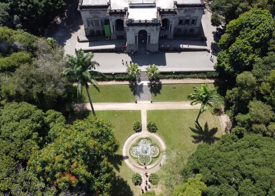 Green Rio: Guided Tour of Botanical Garden and Lage Park - Who will get the most from this tour
