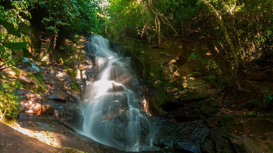 Guided Hike and Kayak or SUP River Tour w/ Transfer - What to bring for the clay trail and river