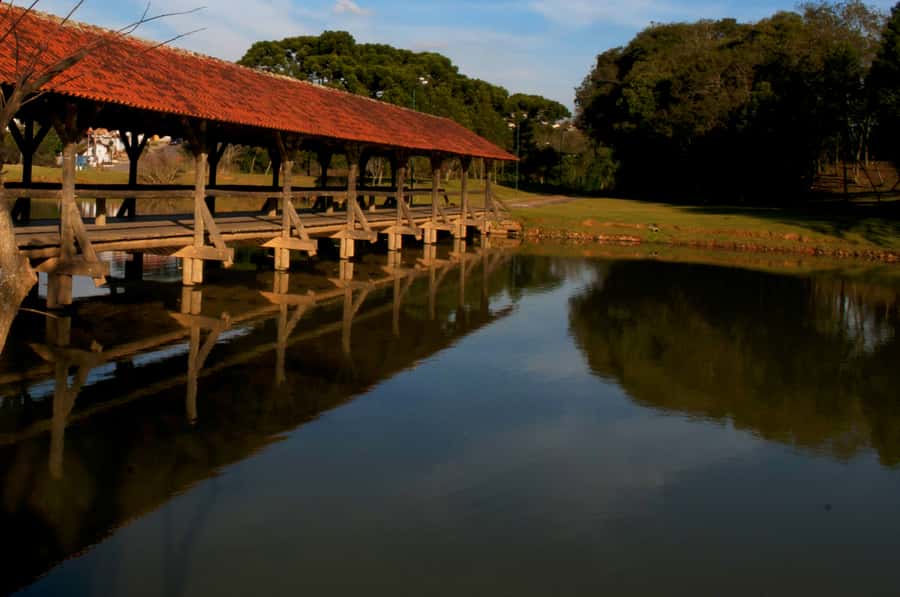 Half-Day Tour of Curitiba City - Theatres and Curitiba’s cultural side