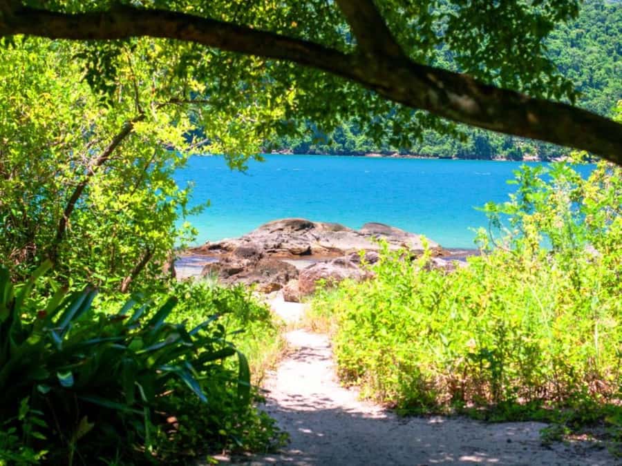 Idyllic Islands Private Speedboat Tour in Paraty - How This Compares With a Fixed Boat Trip