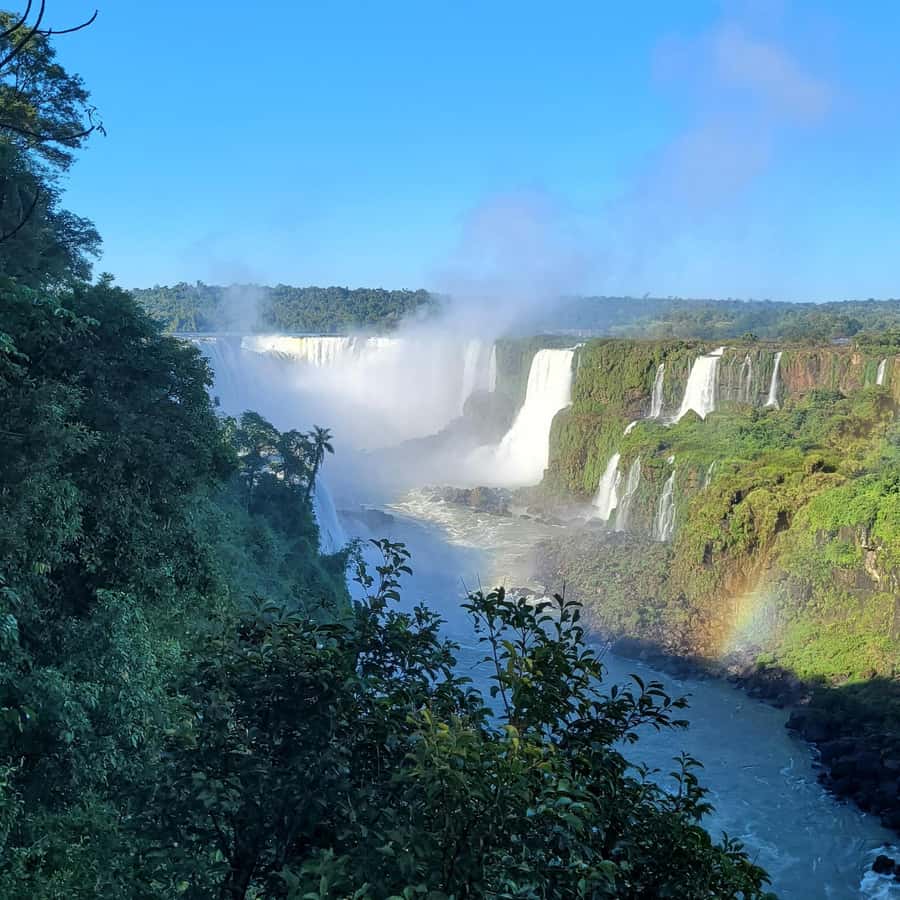 Iguassu Falls: Brazilian Side Private Tour - Adding the Macuco Safari boat ride