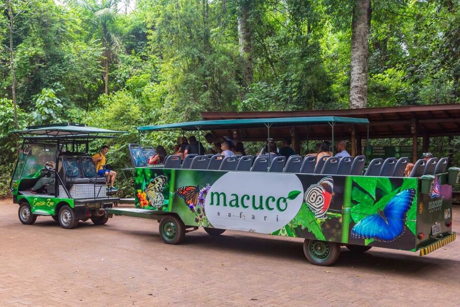 Iguassu Falls: Guided Tour & Macuco Safari on Pontoon Boats - What $183 Buys You