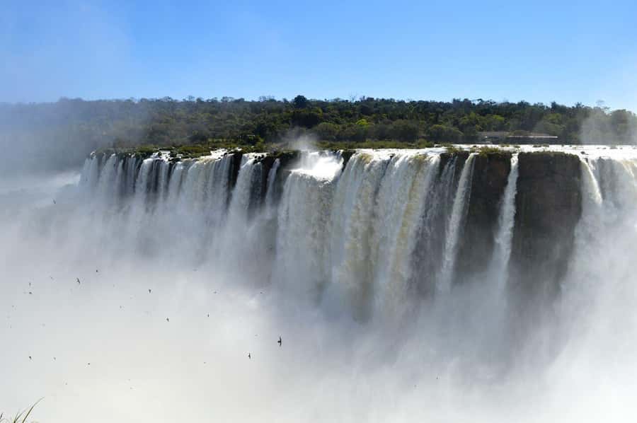 Iguazu Falls: 2-Day Argentinian and Brazilian Iguazu Falls - The ecological train and Devils Throat