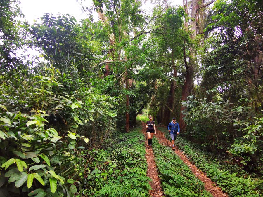 Ilha Grande: Lopes Mendes Private Hiking Tour - Reaching Lopes Mendes after the hard work