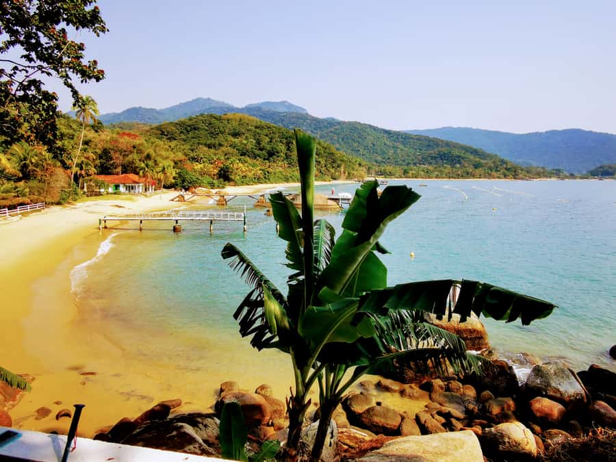Ilha Grande: Private Hiking with Forest, Beaches & Waterfall - Two hours through the Atlantic Rainforest