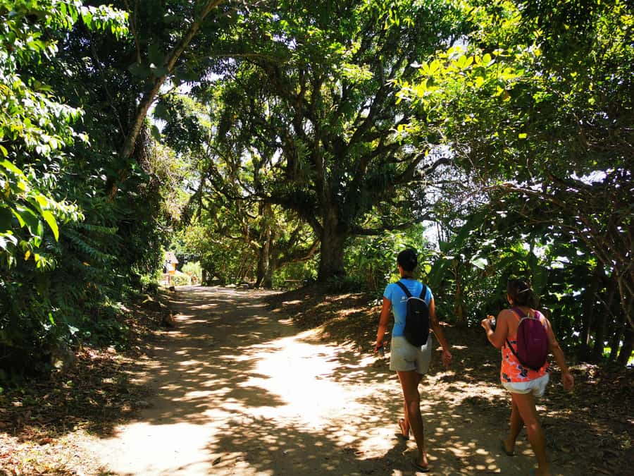 Ilha Grande: Private Historic Walking Tour with Natural Pool - A private tour for curious, active visitors