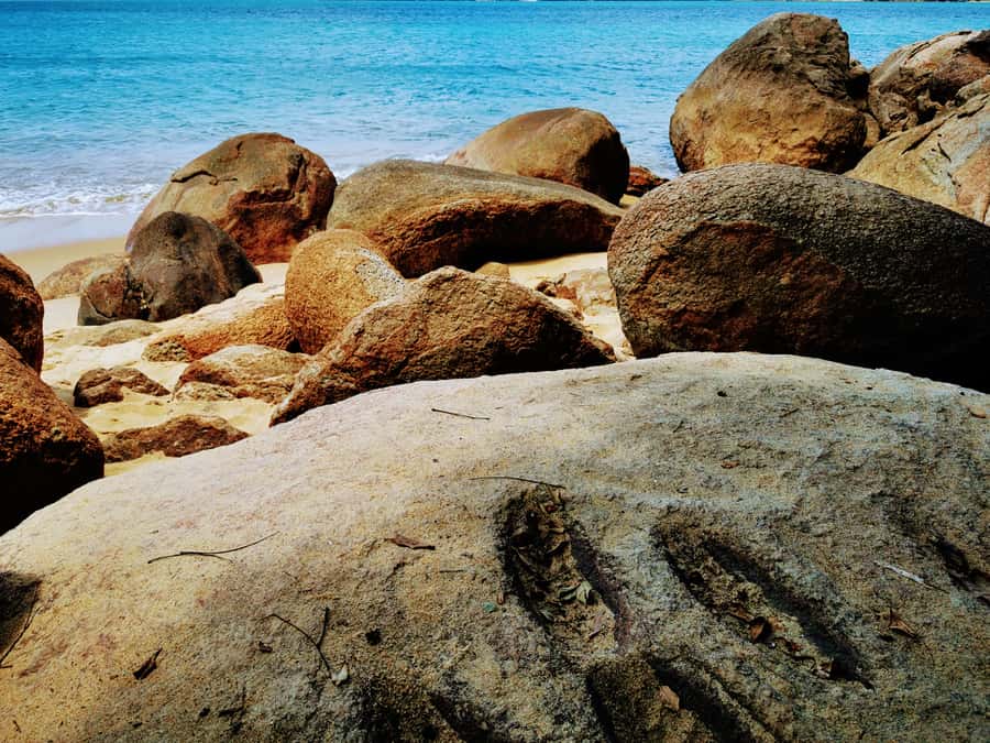 Ilha Grande: Private Historic Walking Tour with Natural Pool - Is $156 per person a fair price?