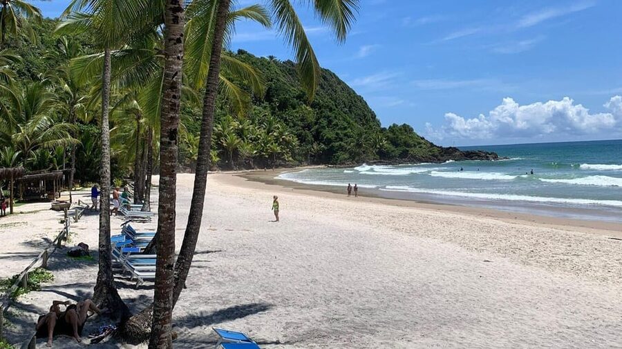 Itacare: 4 Beaches Trail and Tijuipe Waterfall - Key points to know before you go
