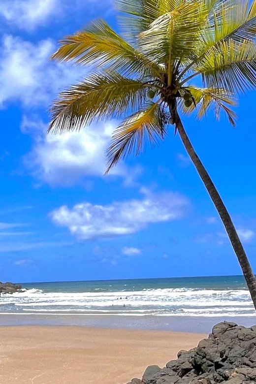 Itacare: 4 Beaches Trail and Tijuipe Waterfall - Havaizinho Beach: the best place to plan lunch
