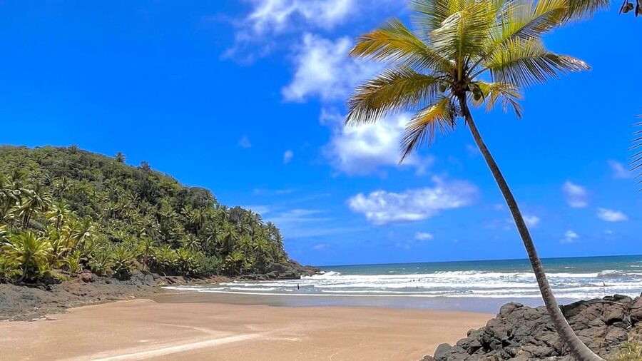 Itacare: 4 Beaches Trail and Tijuipe Waterfall - Engenhoca Beach: where a river crosses into the sea