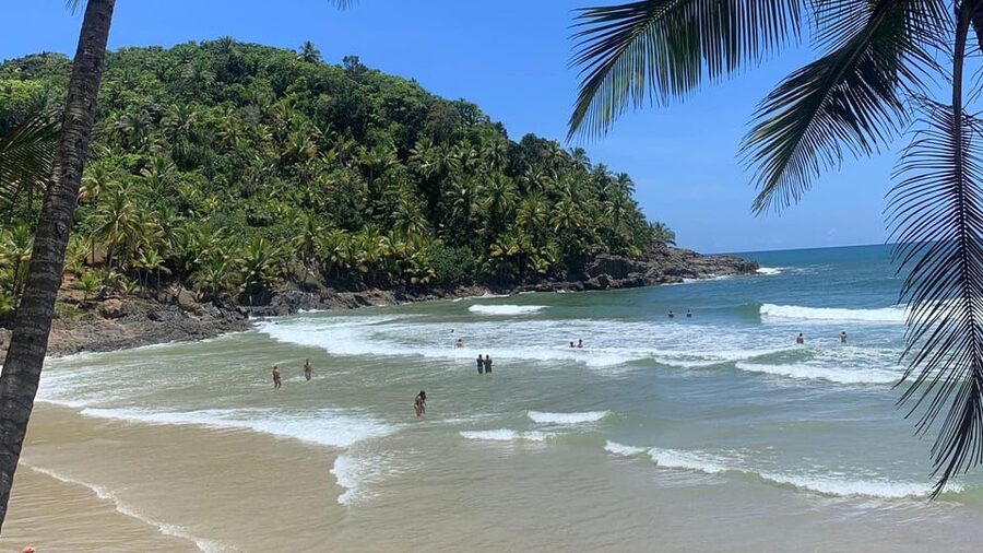 Itacare: 4 Beaches Trail and Tijuipe Waterfall - Should you book the four beaches and Tijuipe Waterfall tour?