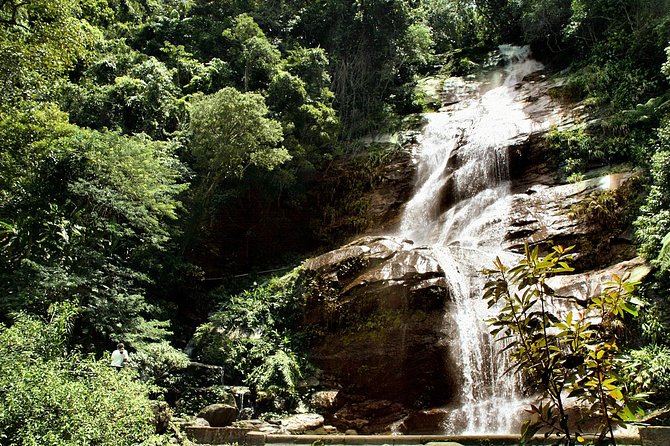 Jeep Adventure: Guided Tour through Tijuca Rain Forest - The Visitor Center and Tijuca’s reforestation story