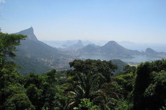 Jeep Adventure: Guided Tour through Tijuca Rain Forest - What the open Jeep is really like