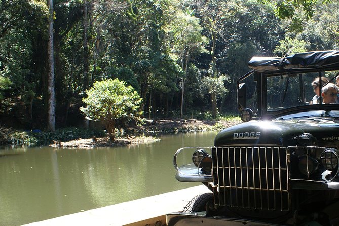 Jeep Adventure: Guided Tour through Tijuca Rain Forest - Cascatinha Taunay and the short forest walk
