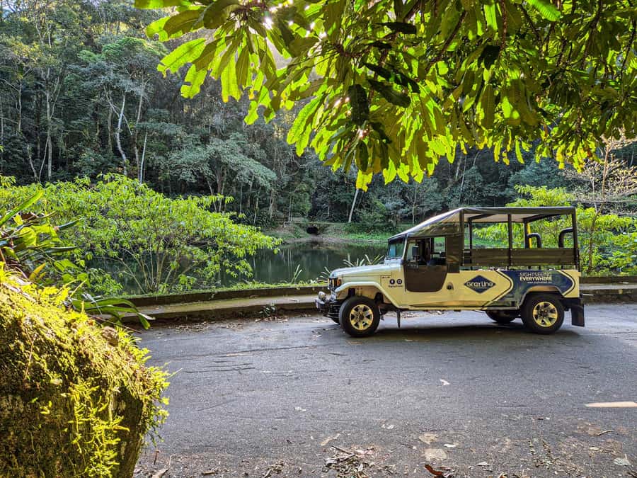 Jeep'n'Culture: Rocinha Favela and Tijuca Rainforest Tour - Key points to know before booking