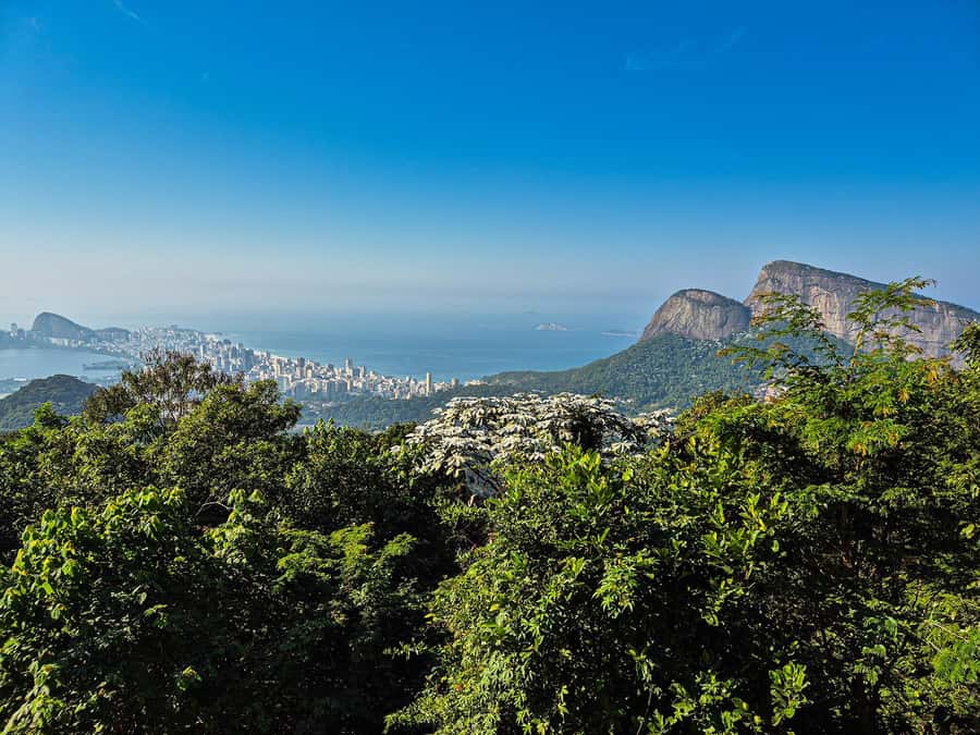 Jeep'n'Culture: Rocinha Favela and Tijuca Rainforest Tour - Why this Rio combination works
