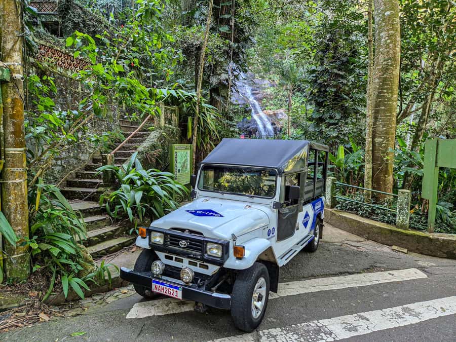 Jeep'n'Culture: Rocinha Favela and Tijuca Rainforest Tour - Walking into Tijuca Forest