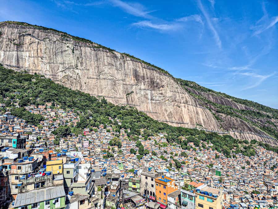 Jeep'n'Culture: Rocinha Favela and Tijuca Rainforest Tour - Who will enjoy this most