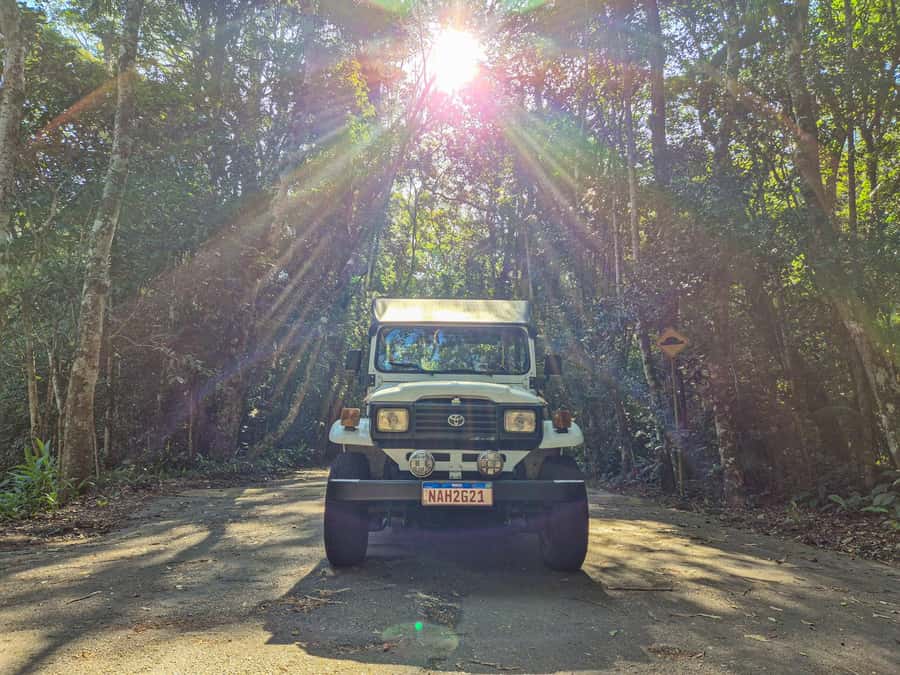 Jeep'n'Culture: Rocinha Favela and Tijuca Rainforest Tour - Practical ways to make the day better