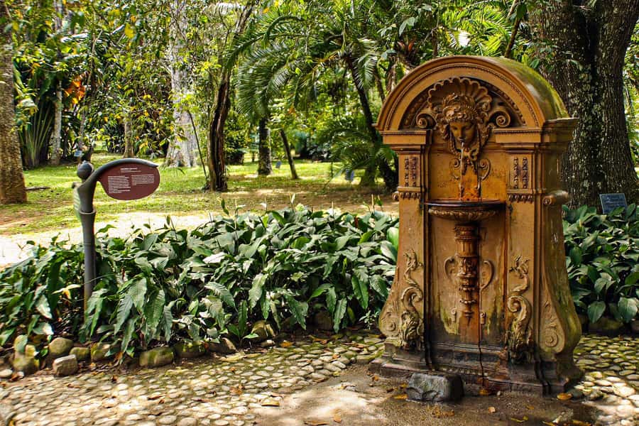 Jeep'n'Green: Rio Botanical Garden & Tijuca Rainforest Tour - Key details to know before you book