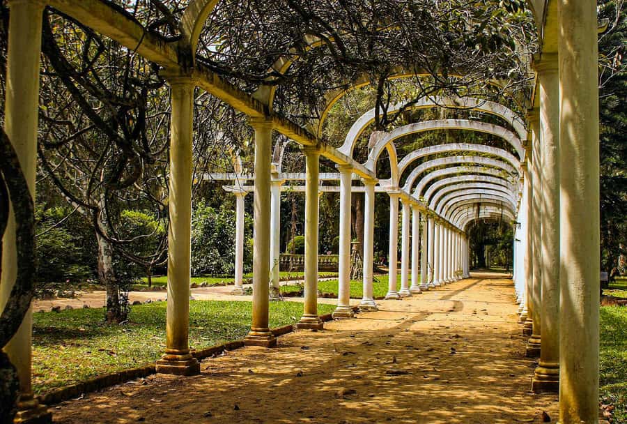 Jeep'n'Green: Rio Botanical Garden & Tijuca Rainforest Tour - Is $95 a fair price?