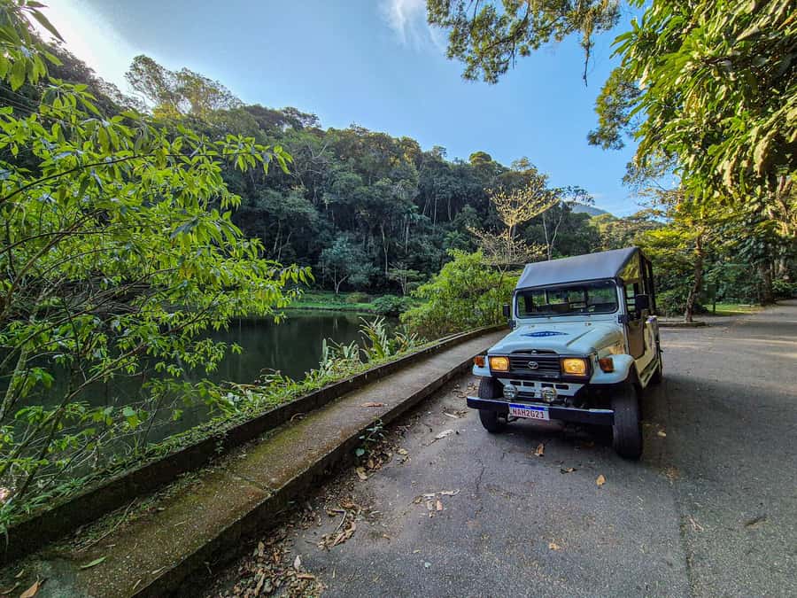 Jeep'n'Green: Rio Botanical Garden & Tijuca Rainforest Tour - Riding through Tijuca Atlantic Forest