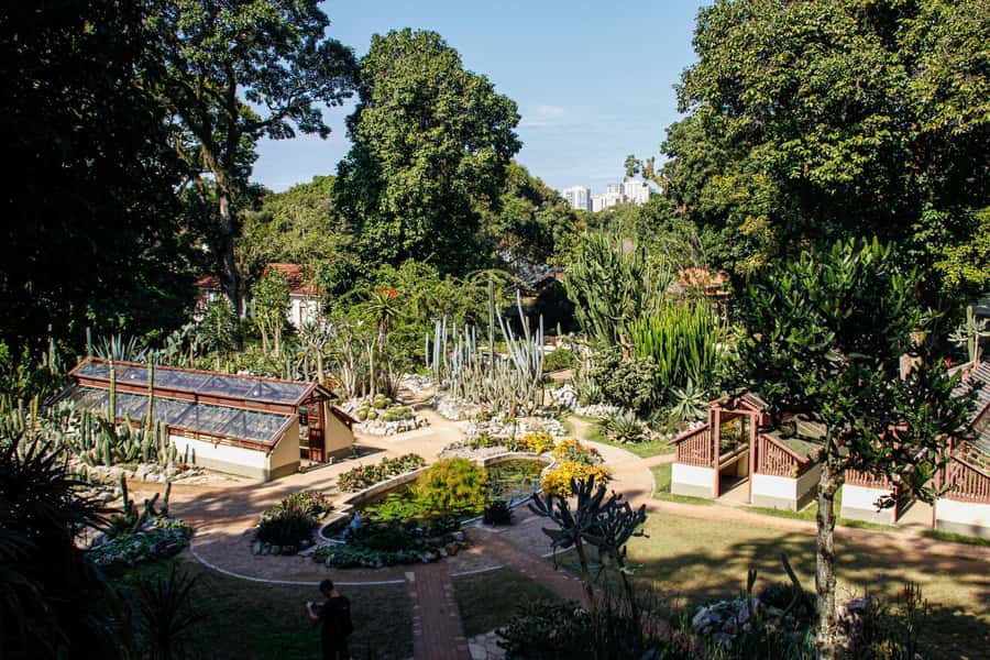 Jeep'n'Green: Rio Botanical Garden & Tijuca Rainforest Tour - Vista Chinesa and the days it disappears
