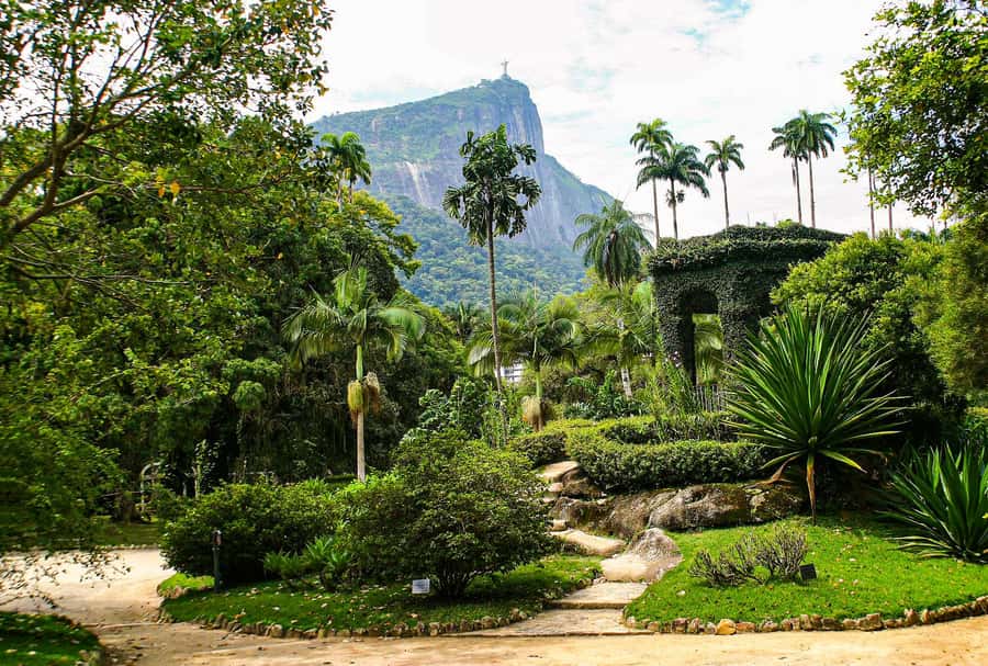 Jeep'n'Green: Rio Botanical Garden & Tijuca Rainforest Tour - What makes the Botanical Garden worth your time