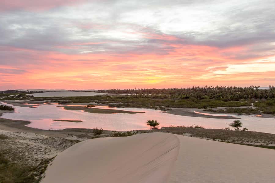 Jericoacoara: Tatajuba Beach Tour - From Jericoacoara to Mangue Seco
