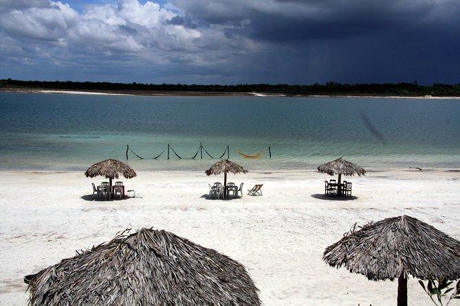 Jericoacoara Tour in 1 Day - Why this Jericoacoara day trip appeals