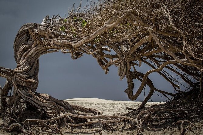 Jericoacoara Tour in 1 Day - Lagoa do Paraíso and the longest break