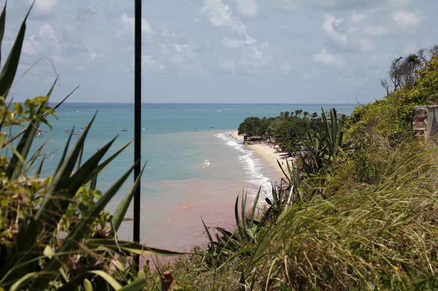 Joao Pessoa City Tour - São Francisco and Joao Pessoa’s old center